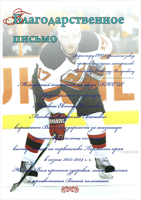 Acknowledgement for financial assistance to the Youth Hockey Team of Krasnokamsk Youth Sports School which participated in the championship of Perm Krai in the 2013-2014 season.